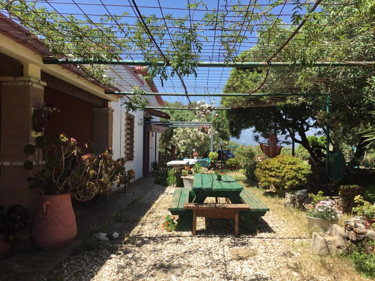 Su Saucu Villa Dorgali Exterior photo